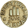 efektywna firma 2015